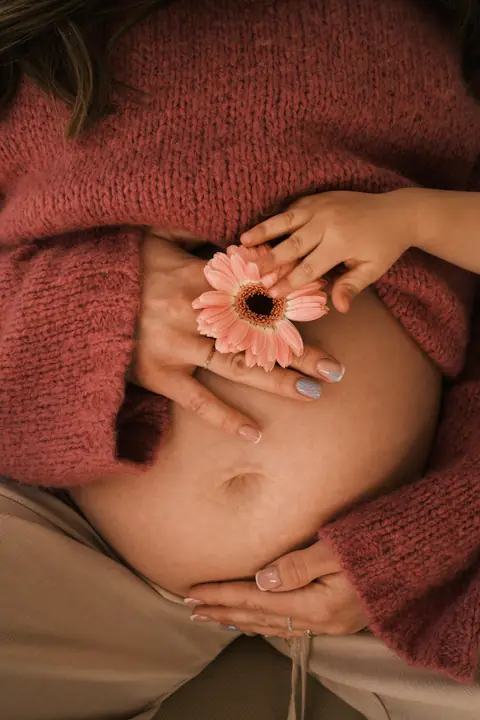 Różowa gerbera trzymana przy brzuchu ciążowym, czerwony sweter